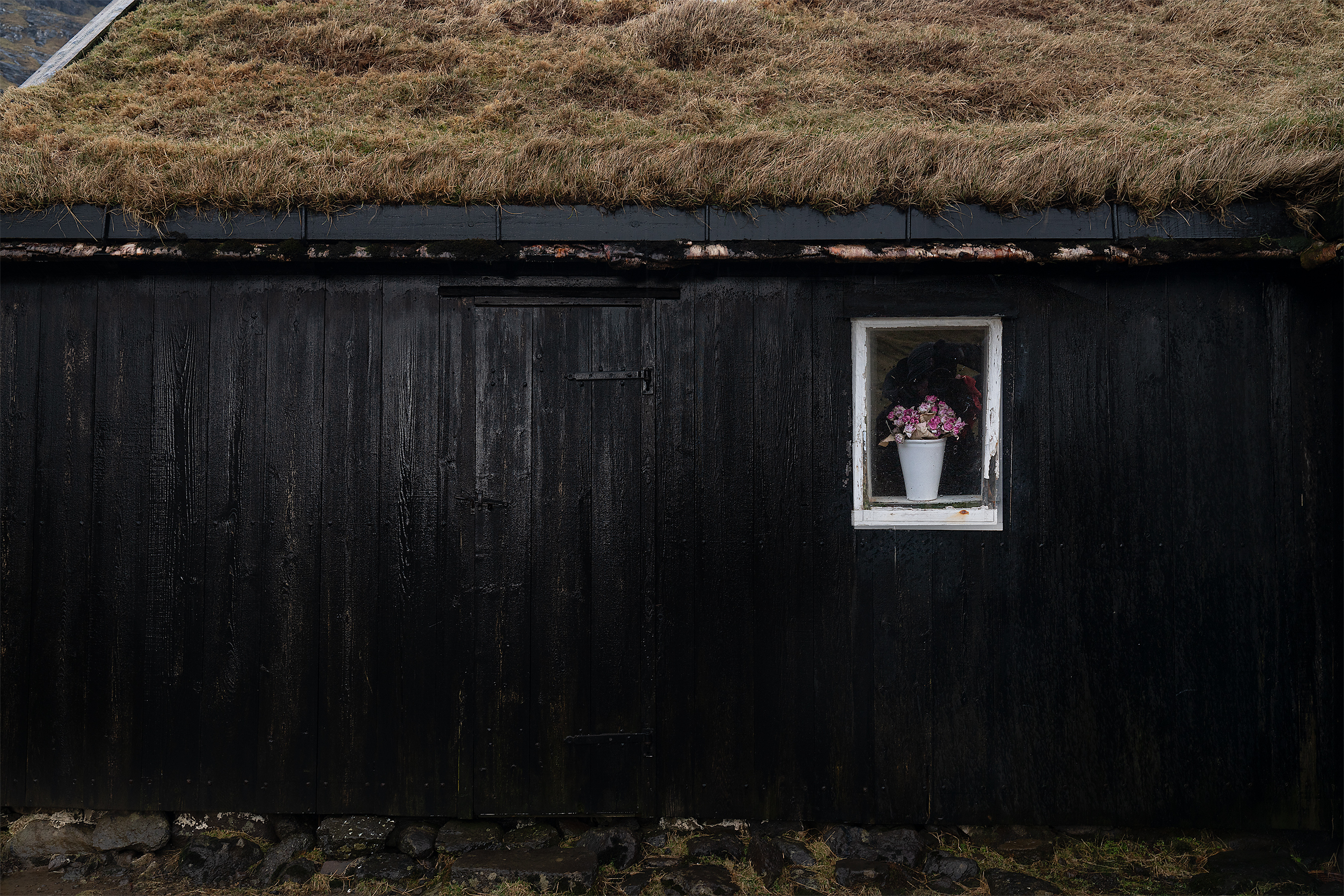 Faroe_Flowers-Balck-House-2700i