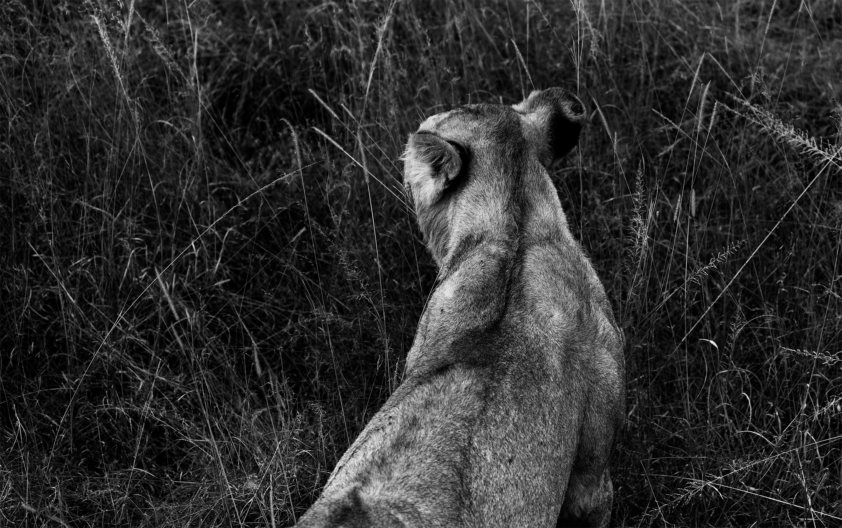 KenyaSafari007